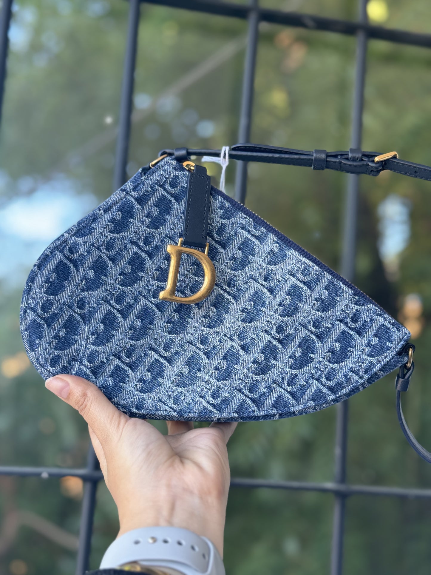 Dior Saddle bag
