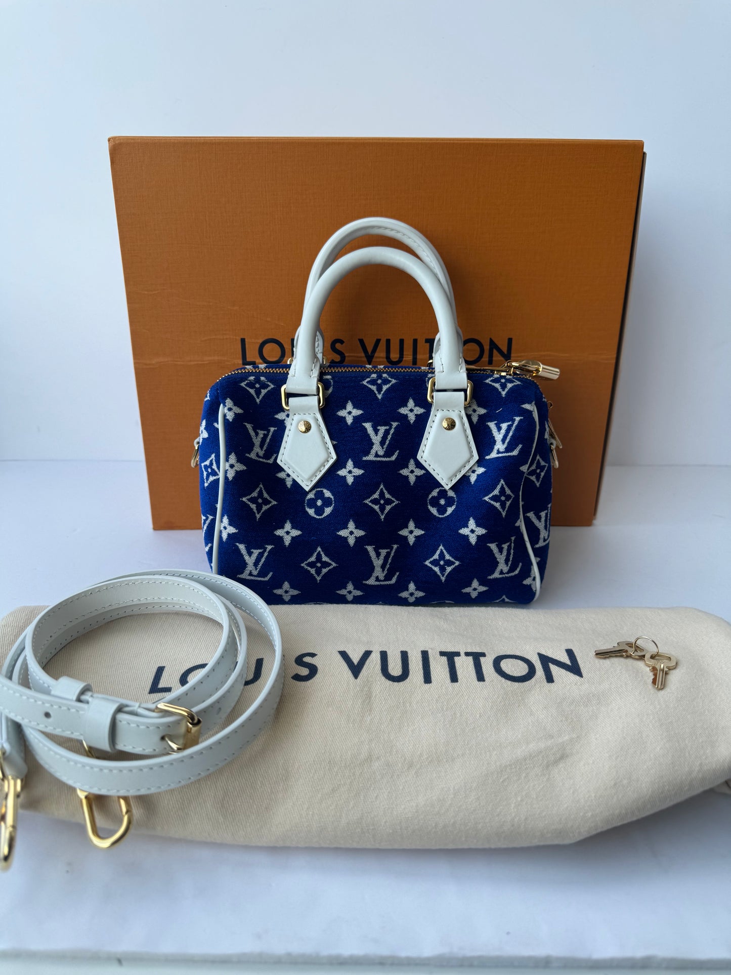 Louis Vuitton Speedy 20 bag
