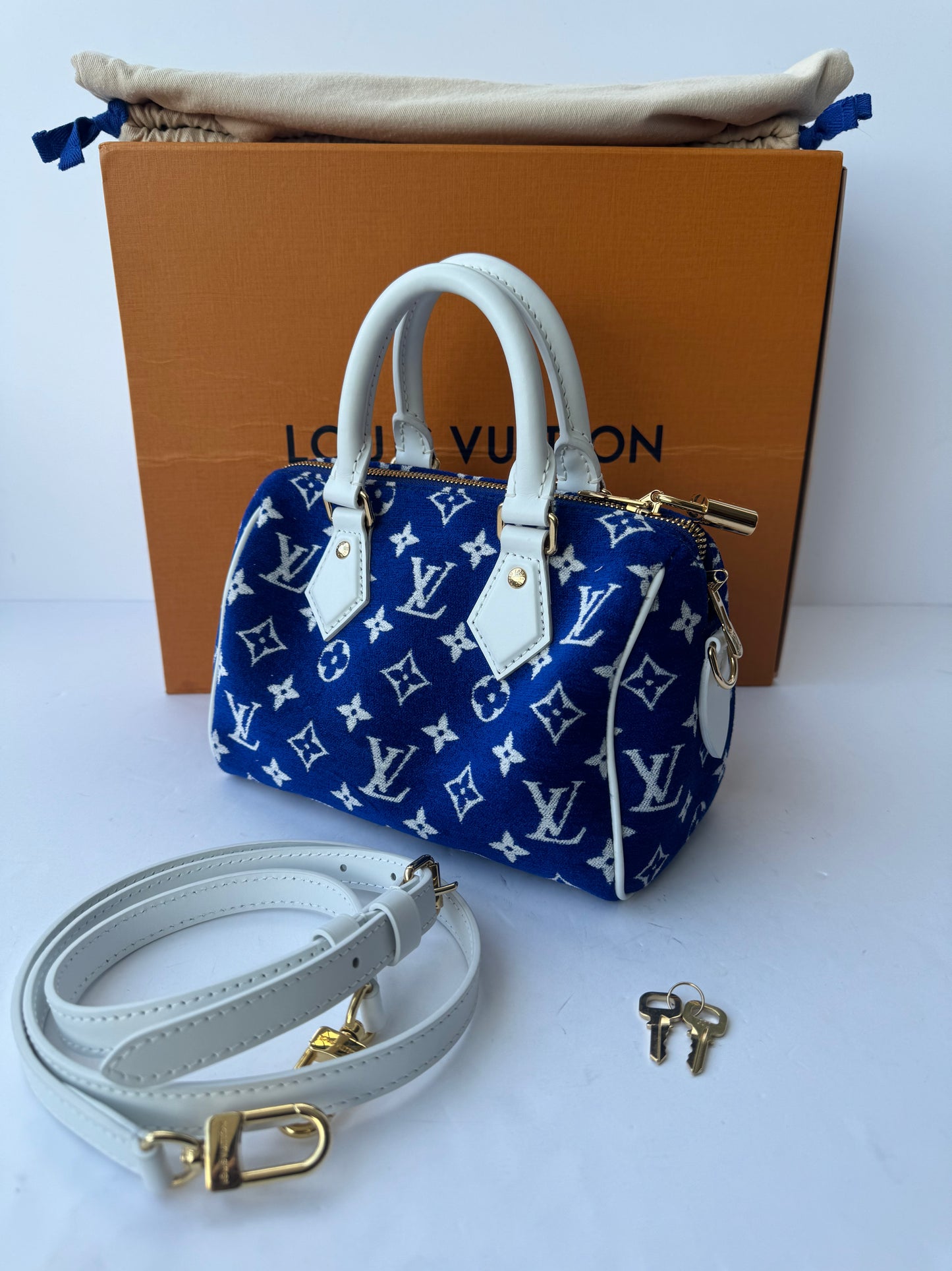 Louis Vuitton Speedy 20 bag