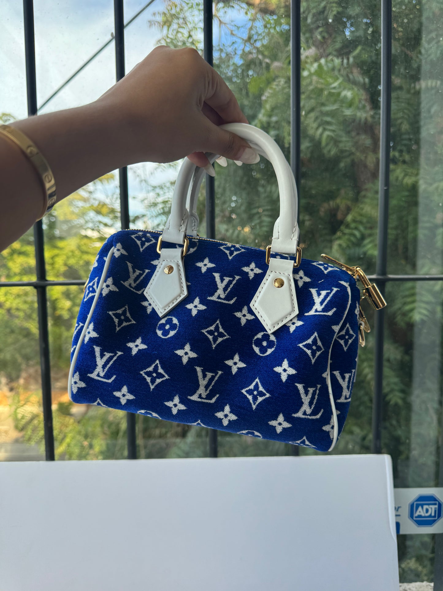 Louis Vuitton Speedy 20 bag
