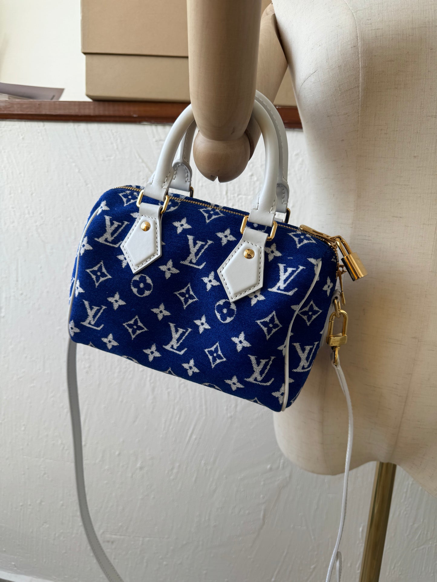 Louis Vuitton Speedy 20 bag