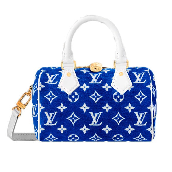 Louis Vuitton Speedy 20 bag