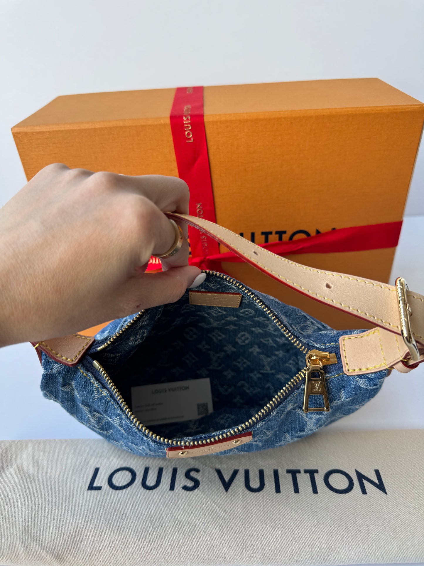 Louis Vuitton Hills Pochette Bag