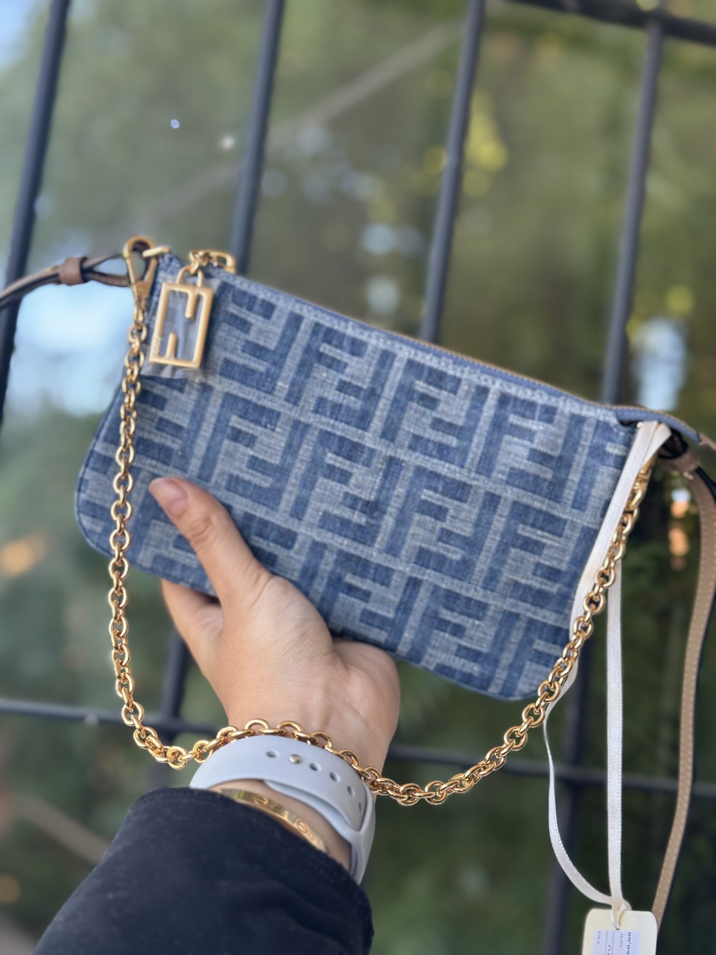 Fendi Bag